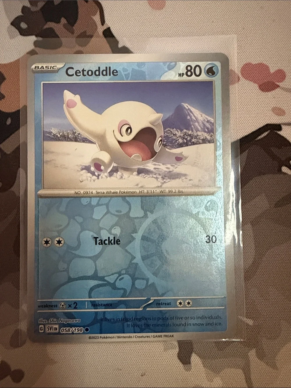 Cetoddle & Cetitan Pokémon Evolution Reverse Holo Card Lot 🧊 | 4 Cards ✨5/$25✨
